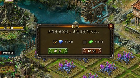 P3.jpg